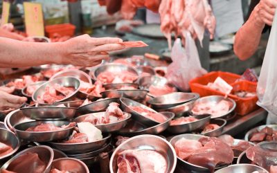 Guía Definitiva: Hoteles en Hong Kong para Cada Presupuesto