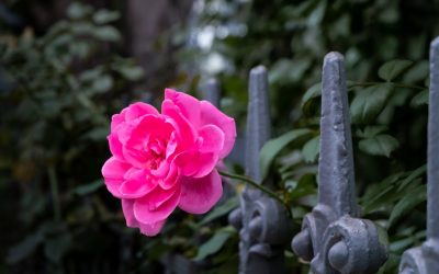 Hoteles en Los Ángeles: Guía Definitiva por Presupuesto (Lujo, Medio, Económico)