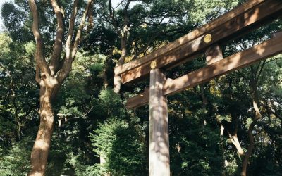 Hoteles en Tokio: Guía Definitiva para Cada Presupuesto