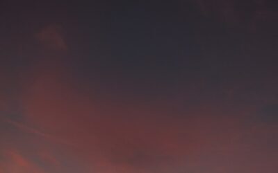 Hoteles Top en Nueva York: Guía de Lujo a Económico