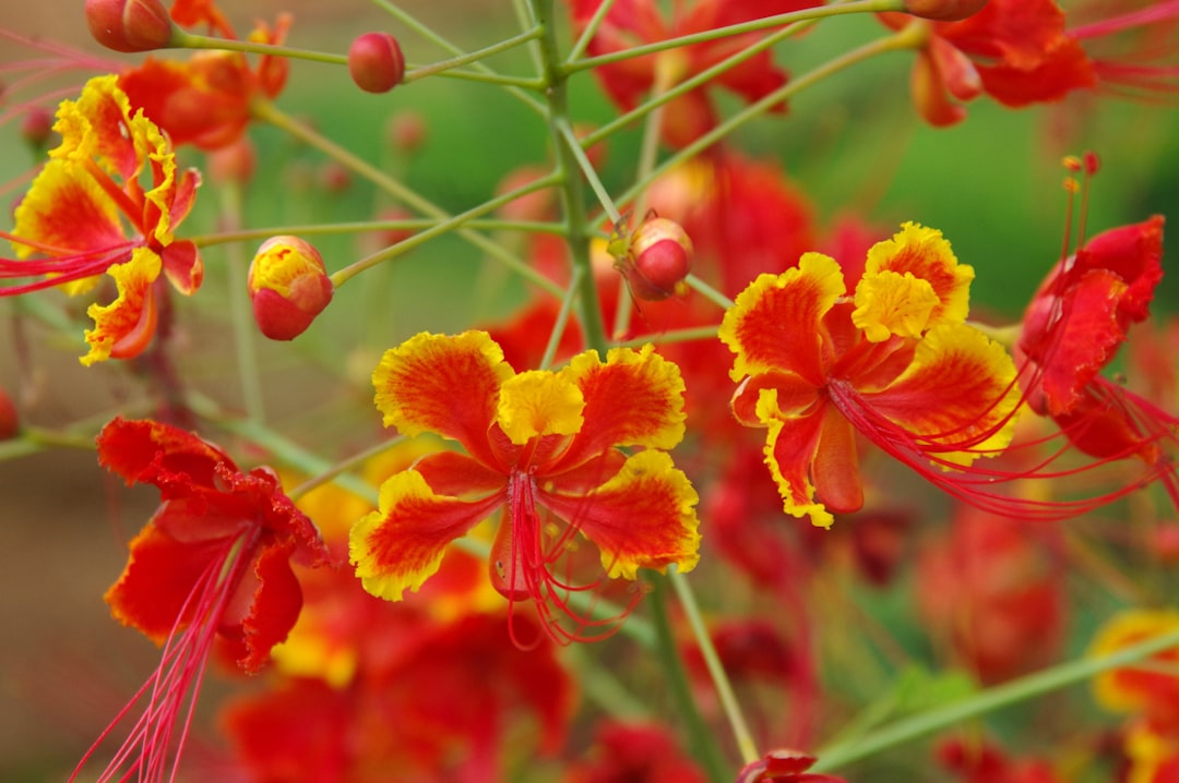 bangalore-hoteles-top-y-gu-a-esencial-1746803829068