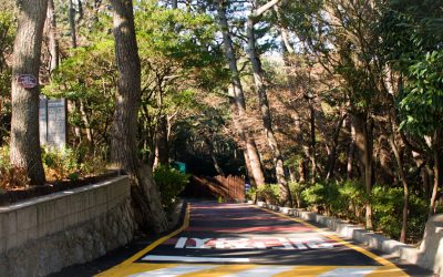 Busan: Tu Guía Definitiva de Hoteles para Cada Presupuesto 2025