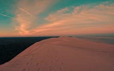 Desbloquea tu Día: 24 Horas al Máximo