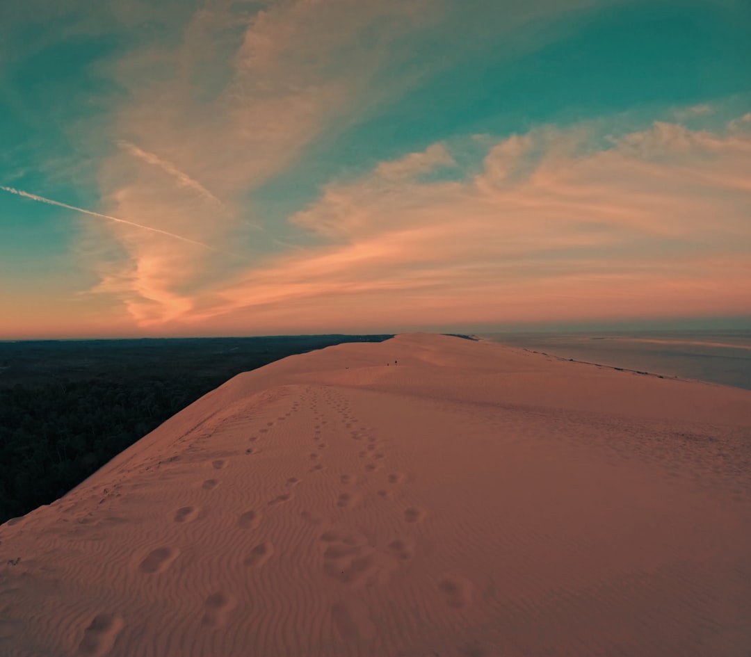 desbloquea-tu-d-a-24-horas-al-m-ximo-1748715280678