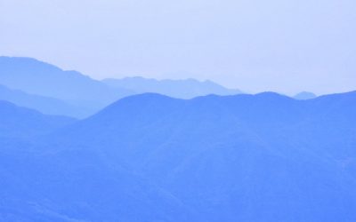 Descubre la Vida Simple: Un Viaje Global