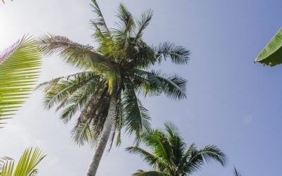 Descubre los Mejores Hoteles en Ciudad Ho Chi Minh para Cada Presupuesto (2025)