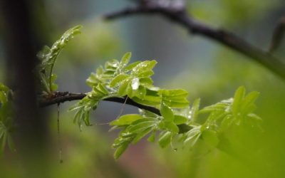 Fracaso y Fortuna: Por Qué No Me Arrepiento