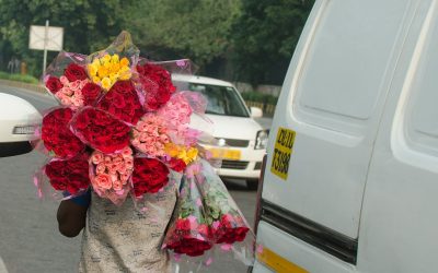 Guía de Hoteles en Delhi 2025: Encuentra tu Estancia Perfecta