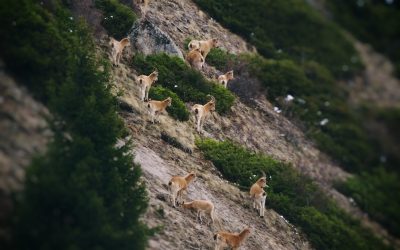 Guía Definitiva de Hoteles en Almaty 2025: Lujo, Confort y Ahorro