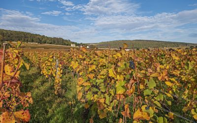 Guía Definitiva de Hoteles en Bombay 2025