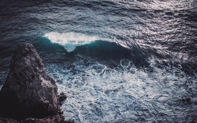 Hábitos de Dinero de los Ricos: Claves