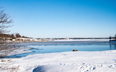 Helsinki: Encuentra tu Hotel Ideal para una Estancia Inolvidable