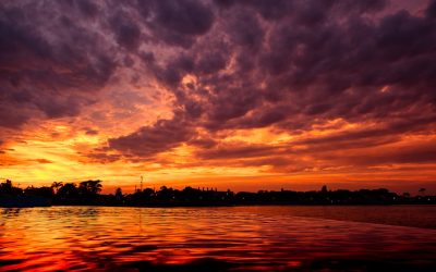 Hoteles en Tallin: Guía Experta para tu Estancia Perfecta