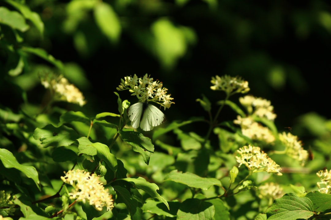 hoteles-en-tirana-tu-gu-a-completa-para-un-alojamiento-perfecto-en-2025-1746620232606