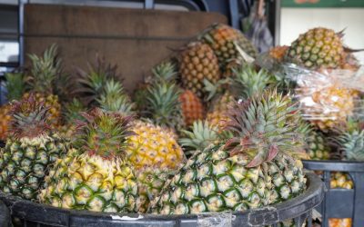 Kaohsiung: Hoteles Perfectos Para Ti