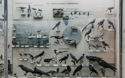 Kiev: Guía de Hoteles 2025