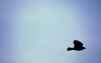 Riga: Hoteles Perfectos y Guía de Viaje 2025