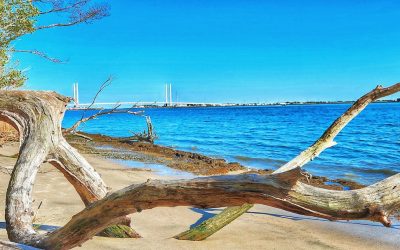 Transforma tu Dieta: Pierde 5kg de Forma Sostenible