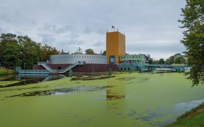 Tu Hogar y Vida en Armonía: El Desafío de Orden Diario