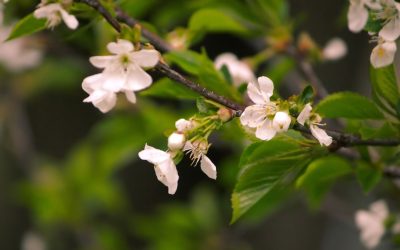 ¿Abdominales Diarios? Equilibrio Clave.