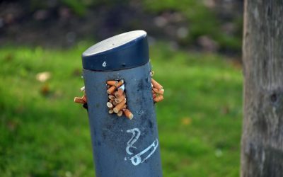 Adiós al Móvil: 5 Hábitos Esenciales