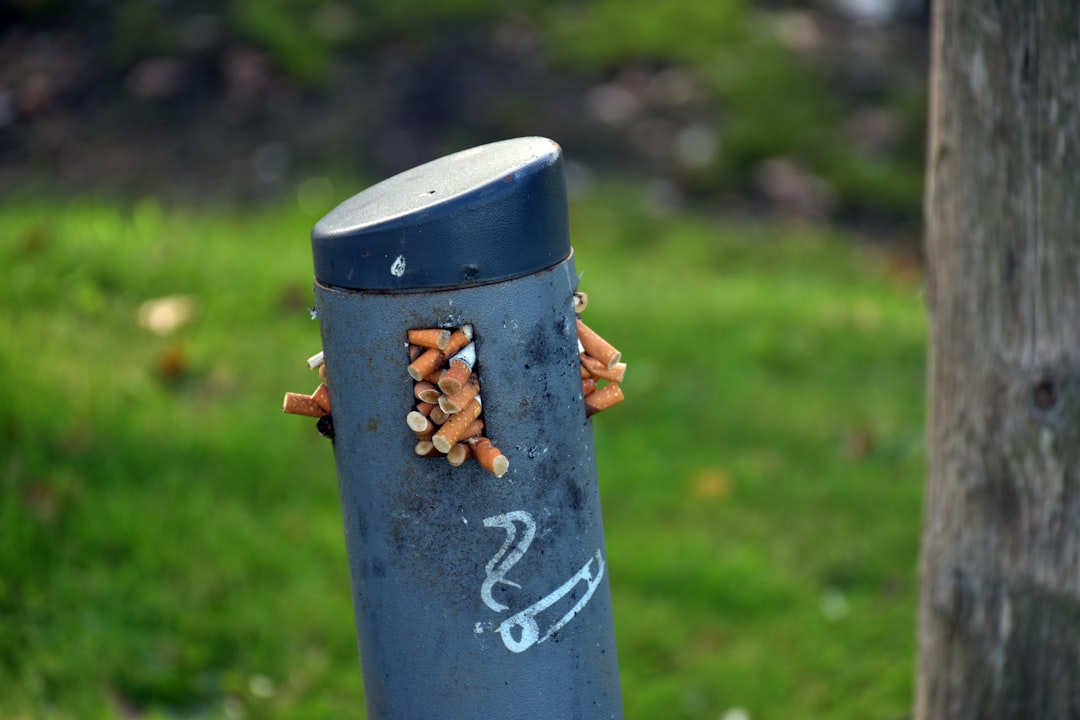 adi-s-al-m-vil-5-h-bitos-esenciales-1750853683206