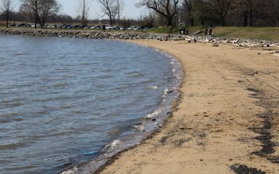 Despeja tu Mente: Organiza tu Escritorio