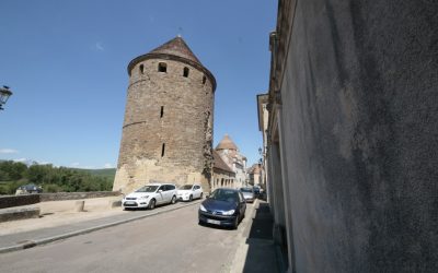 Dieta Alta en Proteínas: Abdomen Plano