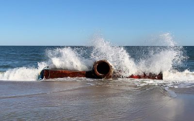 Dieta: Éxito Real Tras Múltiples Fallos