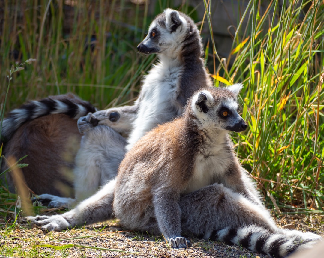 enderezar-piernas-o-funciona-realmente-1750421677222