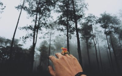 Respiración Consciente: Fortalece tu Core Sin Esfuerzo Aparente