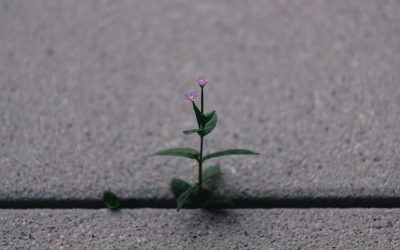 Rutina Post-Trabajo: Transforma Tu Vida en 1 Hora