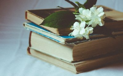 Six-Pack Femenino: ¿Mito o Realidad?