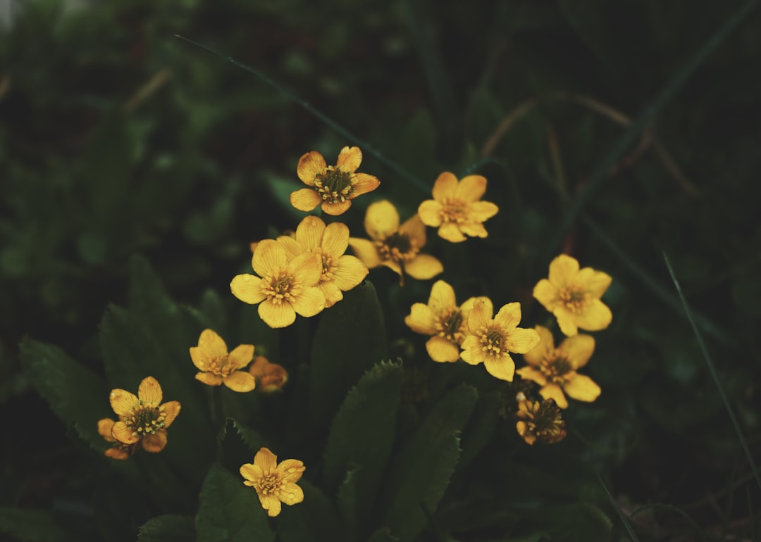 supera-la-procrastinaci-n-h-bitos-duraderos-para-el-xito-1751220895313