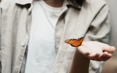 Transforma Tu Vida: El Poder del Reto de 30 Días