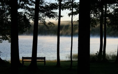 Ambientes Serenos: Tu Refugio Anti-Estrés