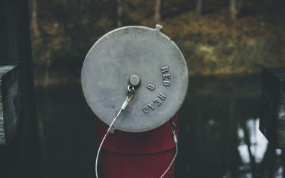 Apps Globales para Adelgazar