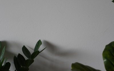 Descubre los 10 Libros Más Vendidos del Mundo