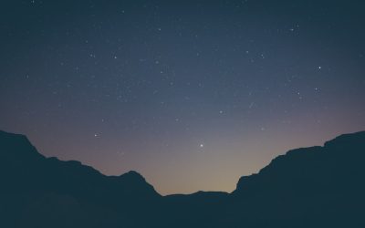 Descubre los Medios de Noticias Más Leídos