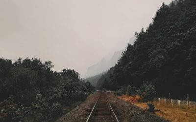 El Viaje al Trabajo: Un Vistazo Global