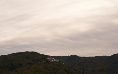 Sanación Ancestral: Explorando la Medicina Tradicional