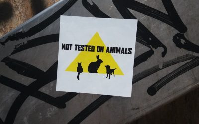 Software Libre: Tu Puerta a la Innovación Digital