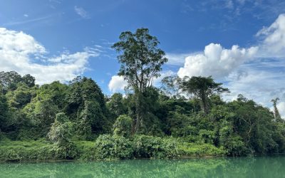 Ecoturismo en Latinoamérica: Viaja Consciente