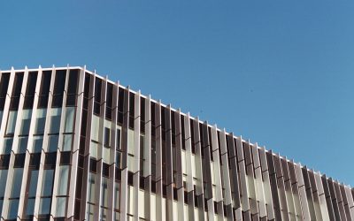 El Sabor del Mundo: Marcas de Fast Food por País