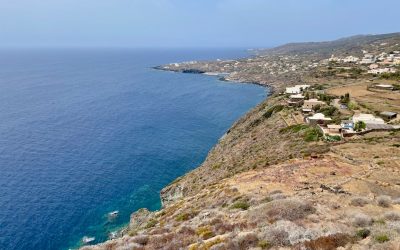 Meditación Global: Guía de Paz Interior