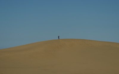 Nómada Digital: Vive y Trabaja Global