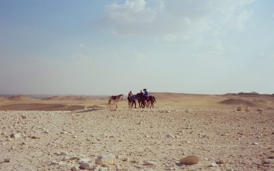 Nómadas Digitales: Vive y Trabaja Libre