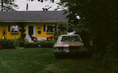 Paneles Solares: Ahorra y Transforma tu Hogar