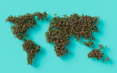 Tendencias de Búsqueda Laboral Global: Un Vistazo por País