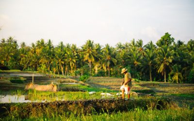 Turismo Sostenible: Guía para Viajar Mejor